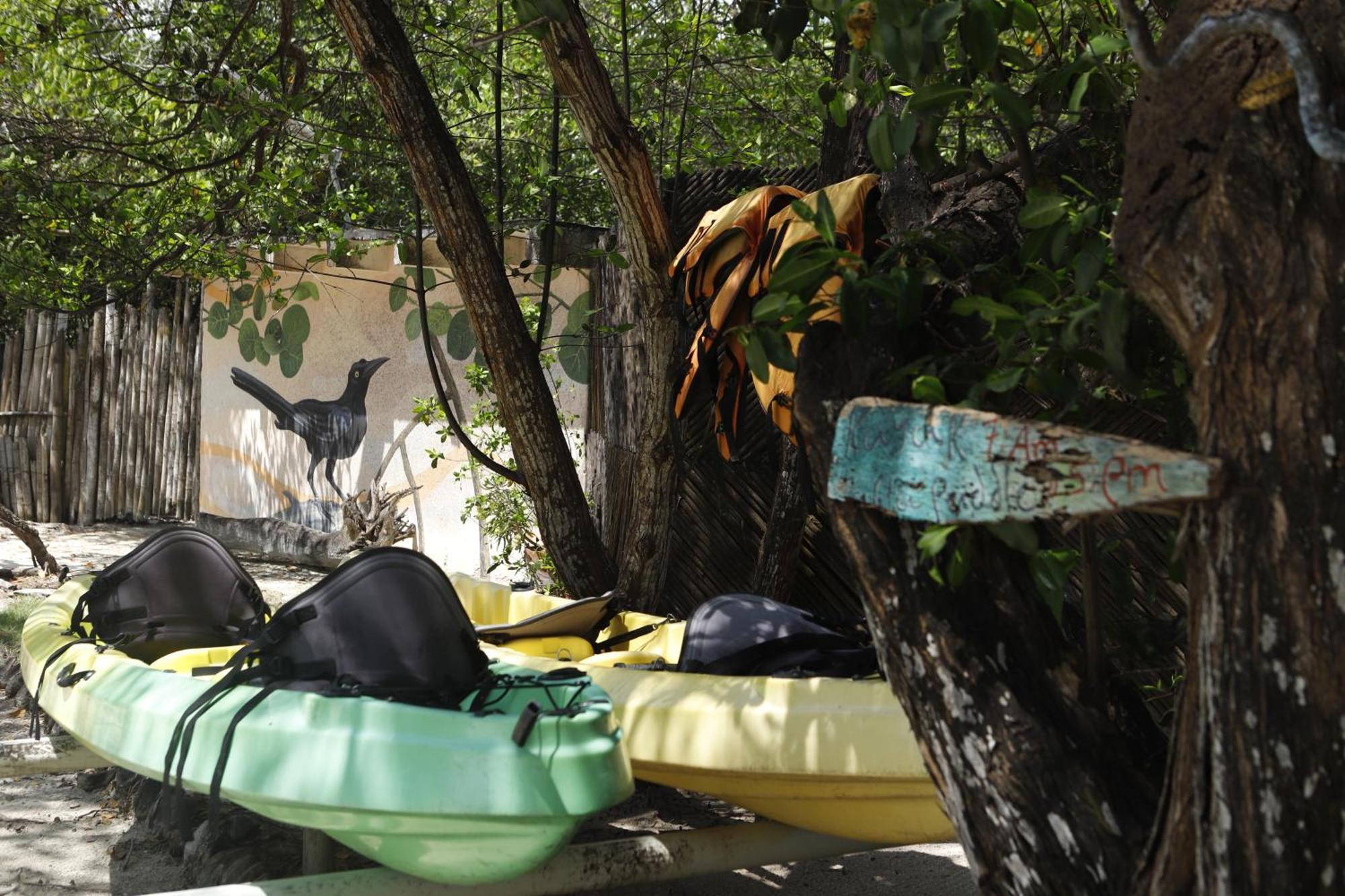 Cabana Salsipuedes Ξενοδοχείο Tintipan Island Εξωτερικό φωτογραφία